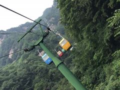 -王顺山国家森林公园