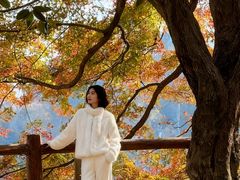 -莫干山风景区