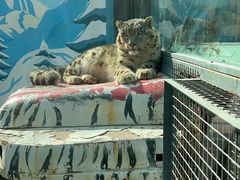 -青藏高原野生动物园