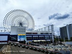 -大阪海游馆