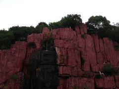 -黄贤森林公园
