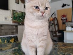 -平行世界·猫咖(首经贸店)