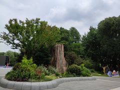 -昆山城市生态森林公园