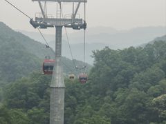 -栾川竹海野生动物园