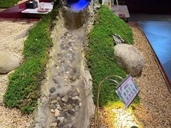 -九鼎轩火锅大排挡