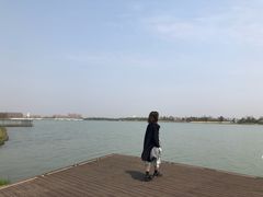 -海宁鹃湖公园