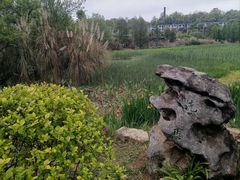 -花溪公园