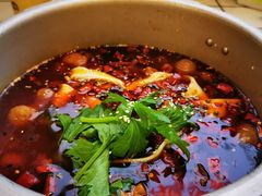 -晓彭肥肠鸡·泡椒鸡火锅(水木天地店)