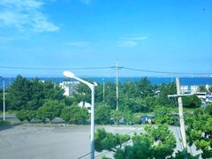 -莲洞本家