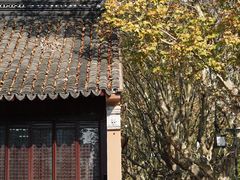 -苏州文庙(姑苏区)