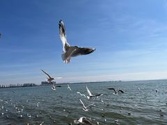 -滇池海埂公园