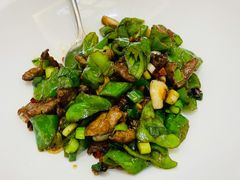 辣爆黄牛肉-食神鱼头佛跳墙(百子湾旗舰店)