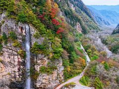 -青峰峡国家森林公园
