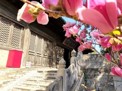 -大觉寺-停车场