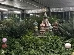 -南宫五洲植物乐园