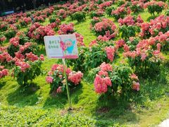 -深圳湾公园(南山区)