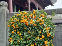 -钱王祠