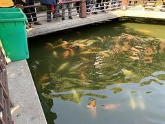 -荆川公园