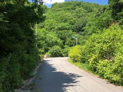 -天女山森林公园