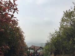 -缥缈峰景区