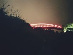 -金鸡山公园