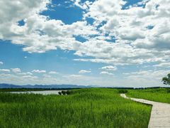 -野鸭湖国家湿地公园