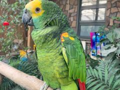 -南宫五洲植物乐园