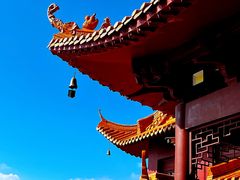 -深圳仙湖植物园