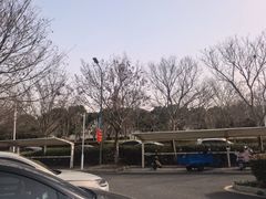 -阳澄湖半岛旅游度假区