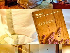 -天津君隆威斯汀酒店