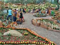 -南通洲际绿博园