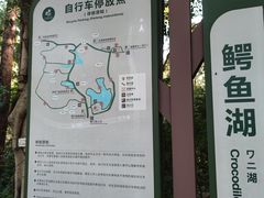 -三水森林公园