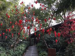 -西安国际创新人才交流中心•药浴温泉