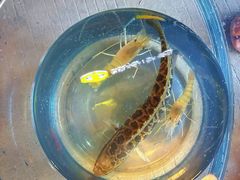 -粮心小农·大头虾亲子生态园(长发店)