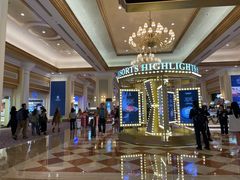 -澳门威尼斯人综合度假区