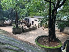 -昆明动物园