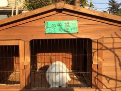 iphone_upload_pic-海边的猫和咖啡馆