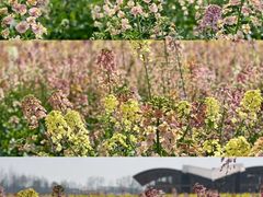 -中国天府农业博览园