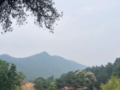 -潭柘寺景区
