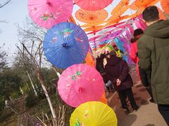 -武汉紫薇都市田园