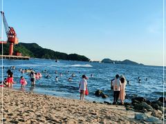 -广东惠东海龟国家级自然保护区