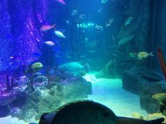 -沈阳海洋探索中心