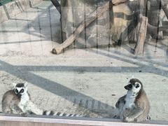 -宿豫区运河湾森林动物园