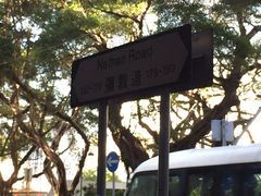 -利强记北角鸡蛋仔(弥敦道店 )