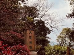 -青城山