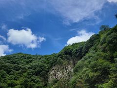 -黄牛肉馆·皖南土菜
