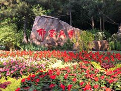 -长春公园(普阳街道)