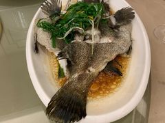 -荣誉大酒店·荣誉海鲜酒楼(晋江电力店)