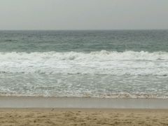 -西涌国际滨海旅游区