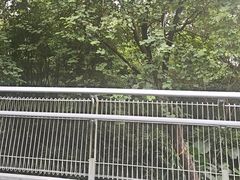-广州雕塑公园